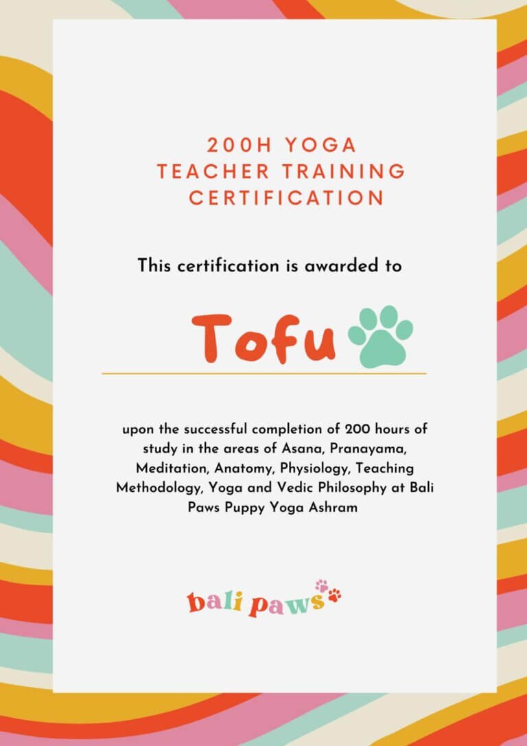 tofu yoga certificate