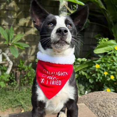 WhatsApp Image 2025-12-20 at 09.18.07